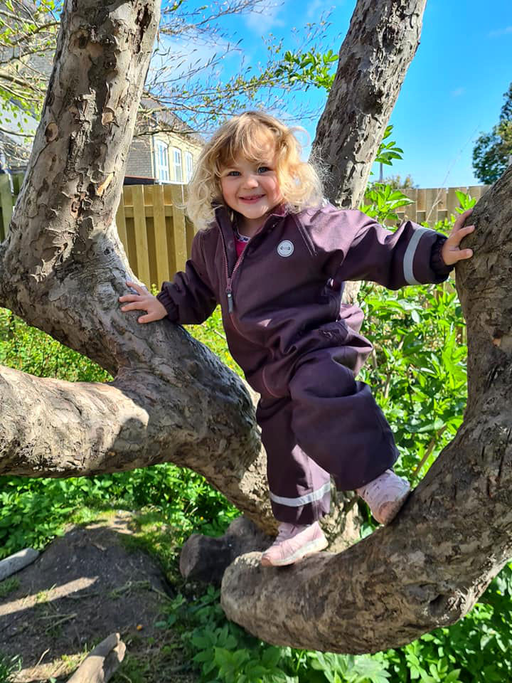 Pige klatrer i træ hos børnehaven livstræet